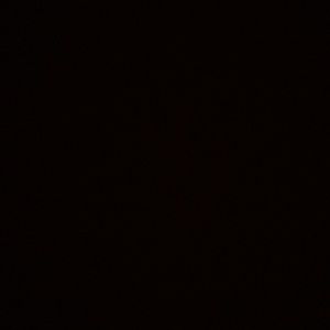 Meet your Posher, Gerald